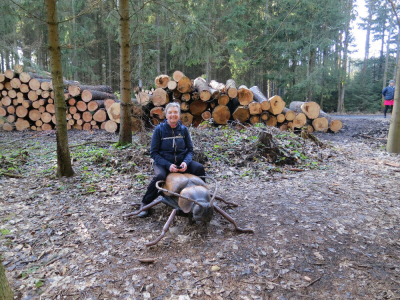 Svitavy 26.2.2026-13